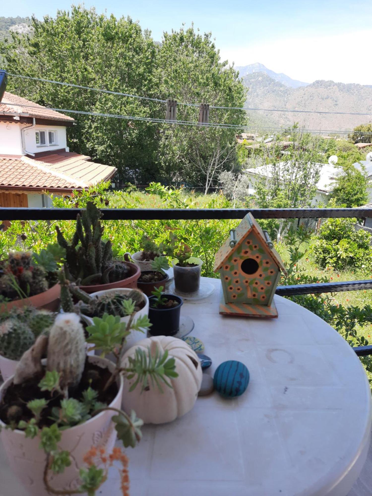 Cirali Kus Yuvasi Bed & Breakfast Room photo